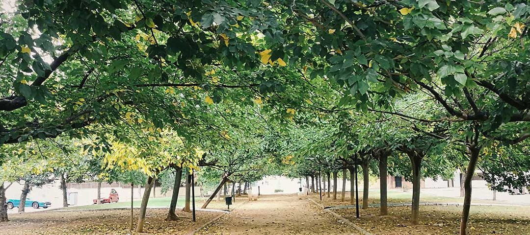 ASAMBLEA GENERAL ORDINARIA ASOCIACIÓN DE VECINOS REVA