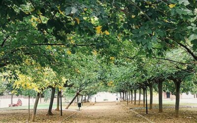 ASAMBLEA GENERAL ORDINARIA ASOCIACIÓN DE VECINOS REVA