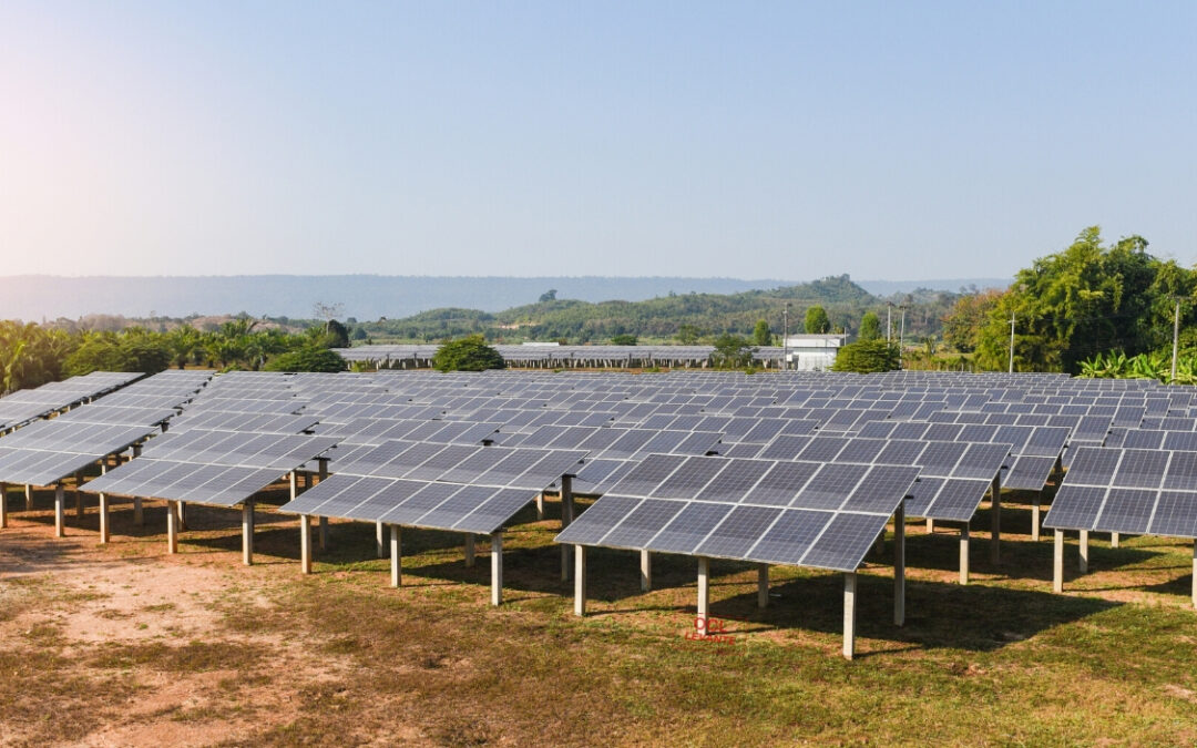 LICITACIONES REVASOLAR